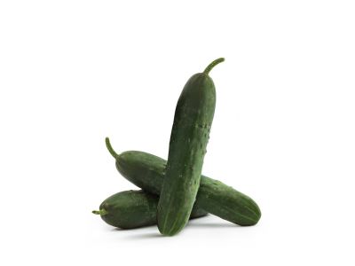 Cucumber