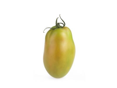 Die längliche grüne Tomate (Principe)