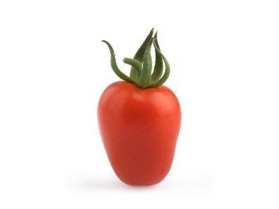 Piccadilly Tomato (Bibì)